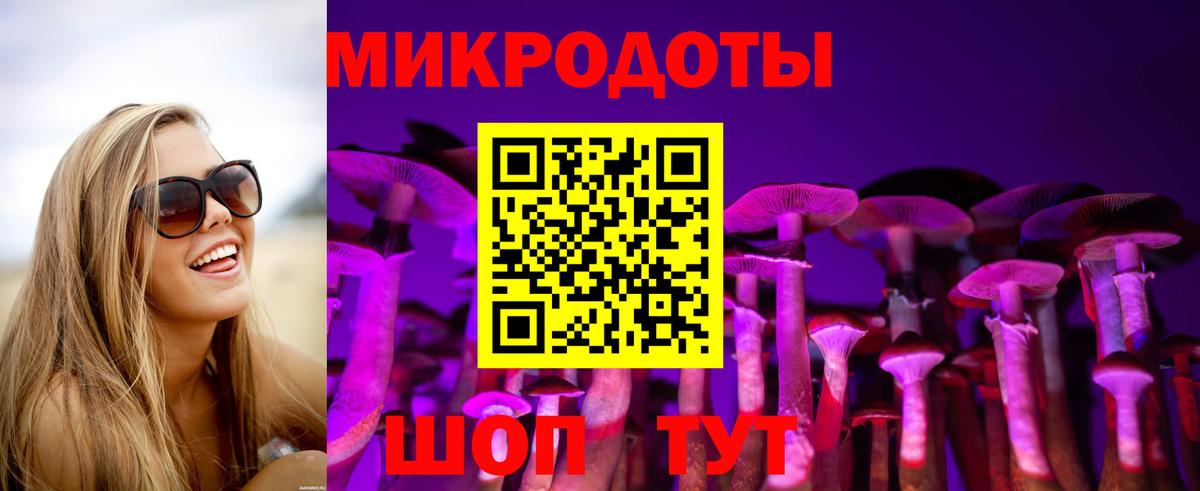Сергиев Посад  Псилоцибиновые грибы Cubensis  Вход с VPN 
